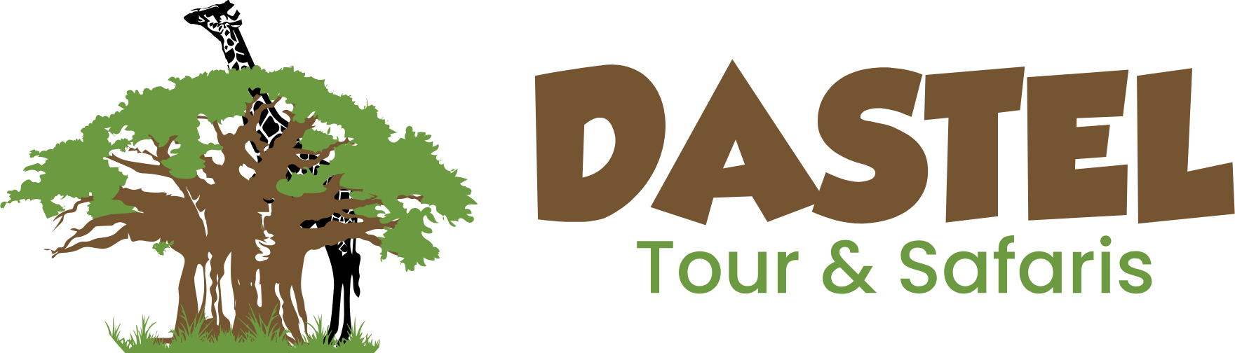 Dastel Tour and Safaris
